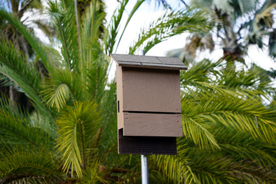 Bat Houses and Assessories
