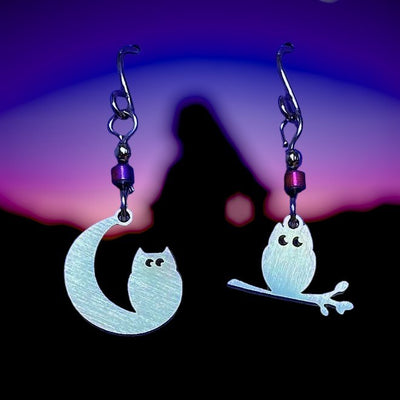 Owls Stainless Steel Earrings in which the owls on each earring are not identical. 