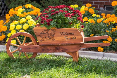Amish Made Cedar Wheelbarrow Planter Cart