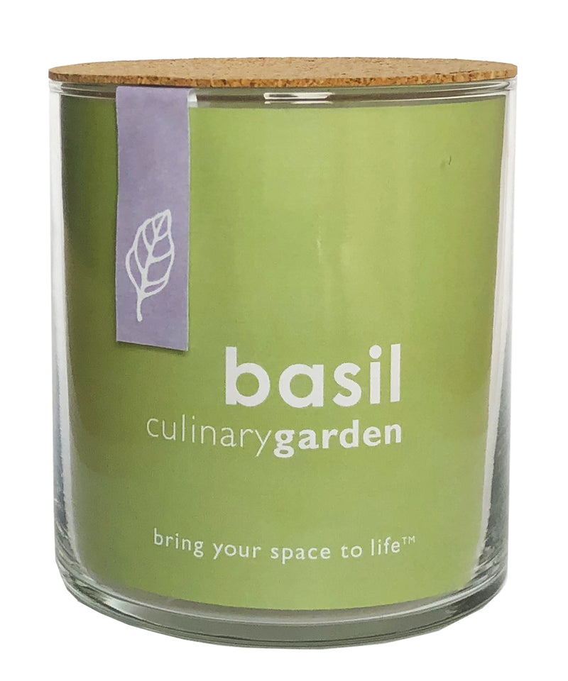 Basil Culinary Garden