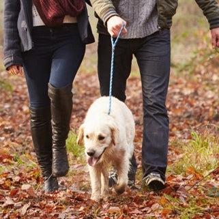 North Woods Animal Treats