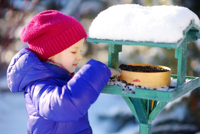 Bird Feeders from Harvest Array