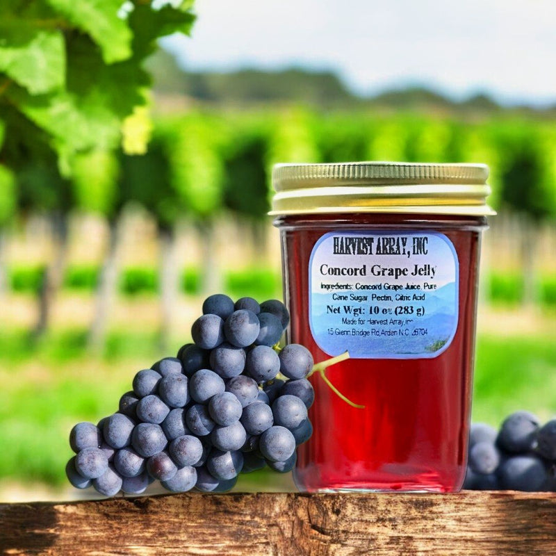The first ingredient in our Concord Grape Jelly is Concord Grape Juice! No harsh chemical additives or preservatives. Only the best from Harvest Array.