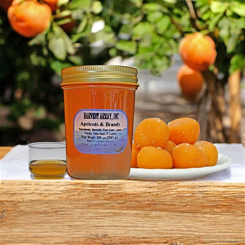 Our Apricots and Brandy Gourmet Jam is made in the picturesque Blue Ridge Mountains of North Carolina. Order today online at harvestarray.com.