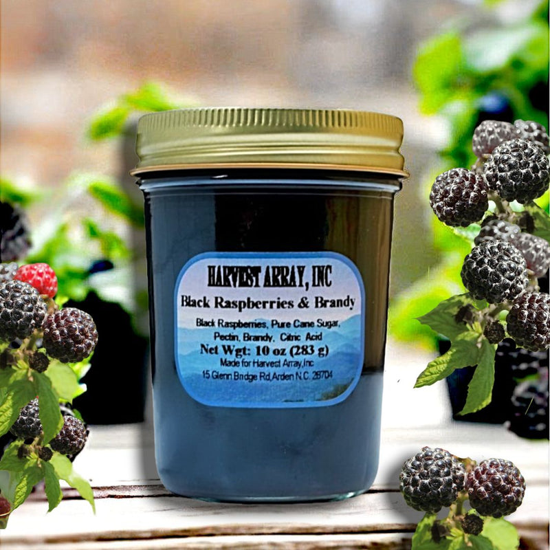 Try our new Black Raspberries and Brandy Gourmet Jam made in the Blue Ridge mountains of North Carolina for Harvest Array.