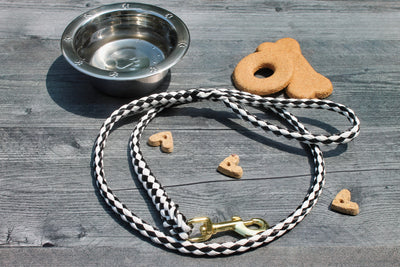 Black and White Soft Braided Dog Leash for Dogs Up to 50 pounds.