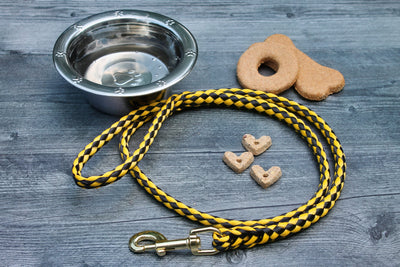 Black and Gold Soft Braided Dog Leash for Dogs Up to 50 pounds. Match your dog's leash with your favorite sports team's colors.