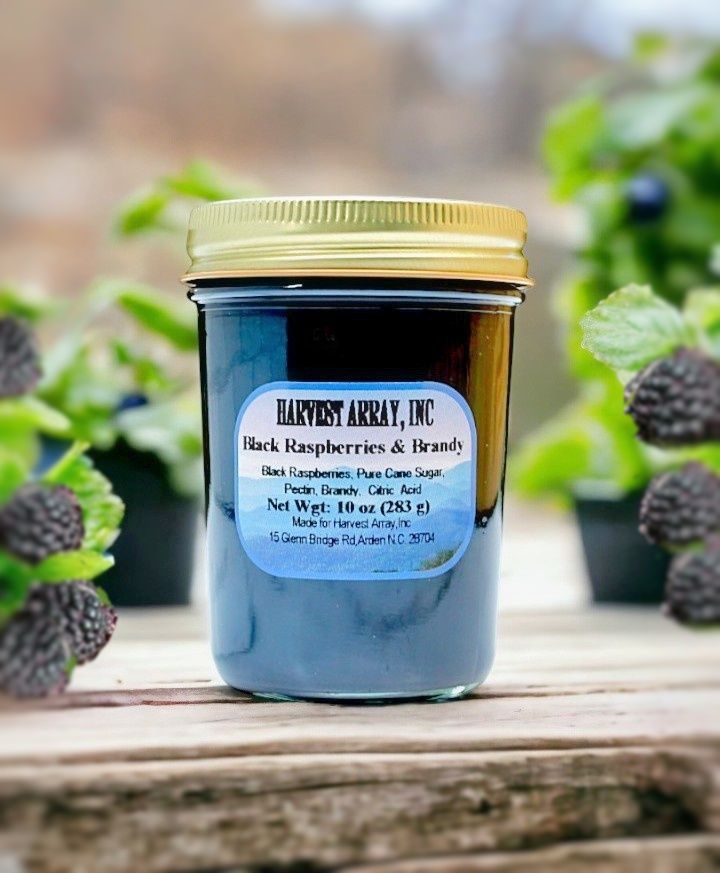 Try our new Black Raspberries and Brandy Gourmet Jam made in the Blue Ridge mountains of North Carolina for Harvest Array. 