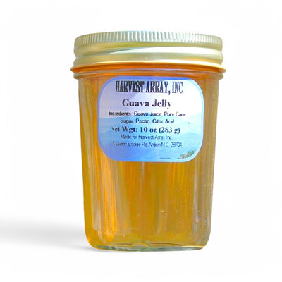 Blue Ridge Jams Guava Jelly is a sweet, tropical treat made in small batches in the USA. All-natural and perfect for breads, desserts, or salty cheeses. 10 oz jar from Harvest Array.
