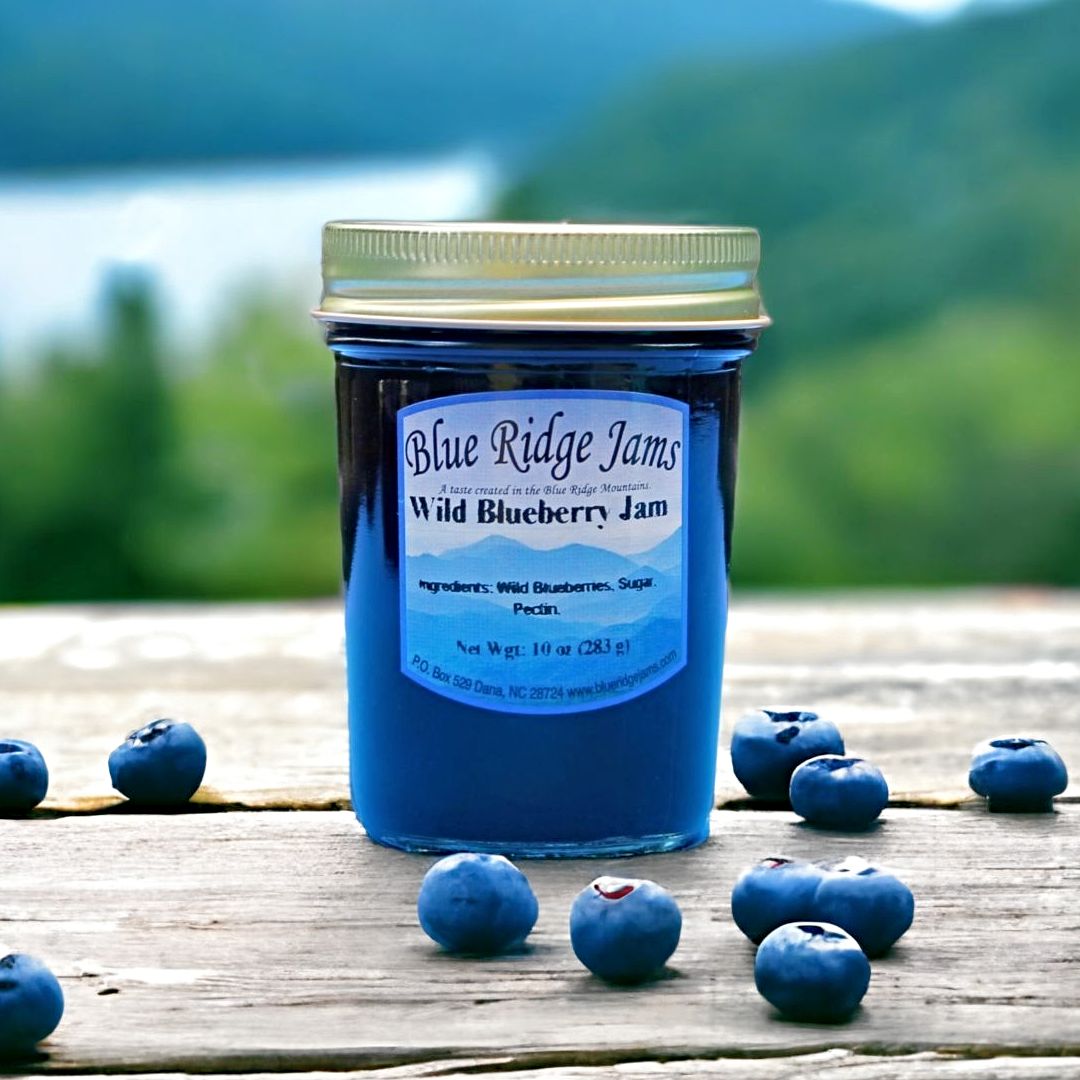 ずっと気になってた Blue Ridge Array Harvest – Jam Blueberry Wild ギター