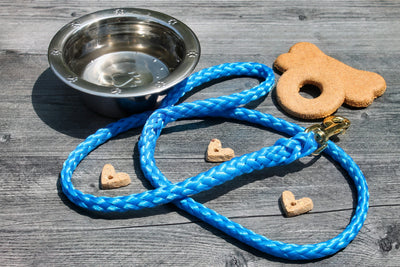 Solid Blue Soft Braided Dog Leash.
