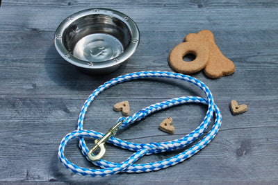Ble and White Soft Braided Dog Leash for Dogs Up to 50 pounds available at Harvest Array