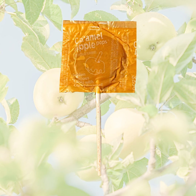Golden Delicious Apple Orchard Caramel Apple Pop. Made in the USA. Available now at harvestarray.com.