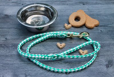 Green and White Soft Braided Dog Leash for Dogs Up to 50 pounds.