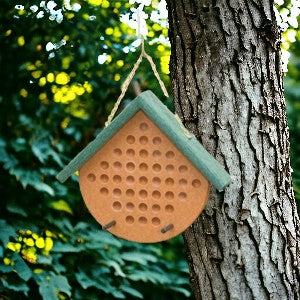 Tan and Green Peanut Butter Poly Bird Feeders