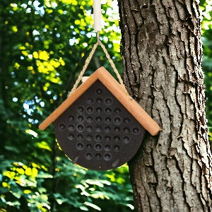 Black and Tan Peanut Butter Poly Bird Feeders