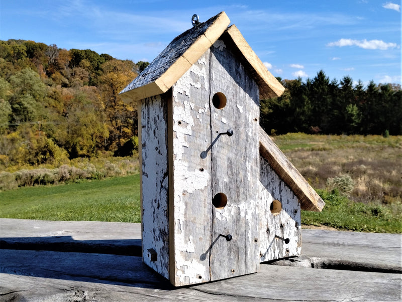Three-Room Birdhouse outdoors