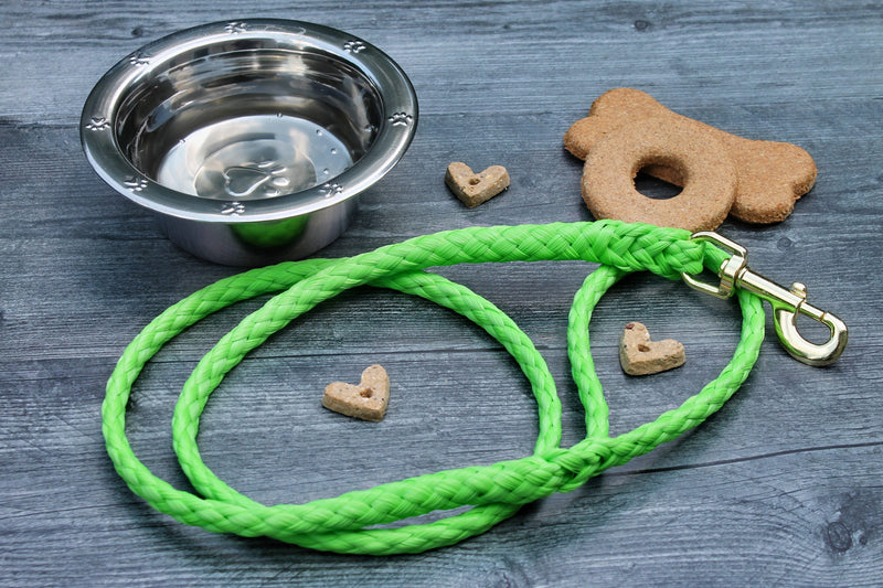 Lime Green Soft Braided Dog Leash for easy visibility.