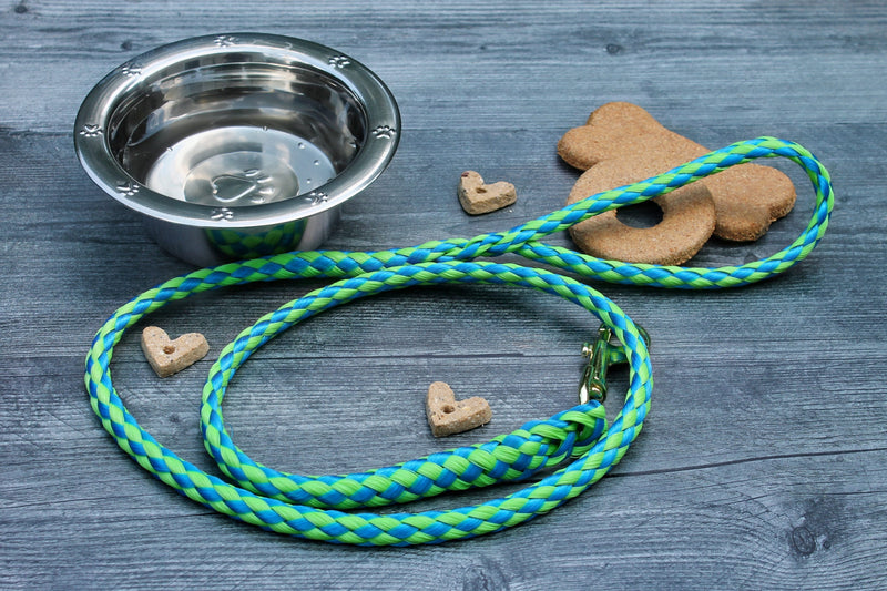 Lime and Blue Soft Braided Dog Leash for Dogs Up to 50 pounds available at harvestarray.com.