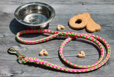 Lime and Pink Soft Braided Dog Leash for Dogs Up to 50 pounds.