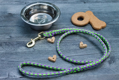 Lime and Purple Soft Braided Dog Leash for Dogs Up to 50 pounds is Made in America for your best fur baby.
