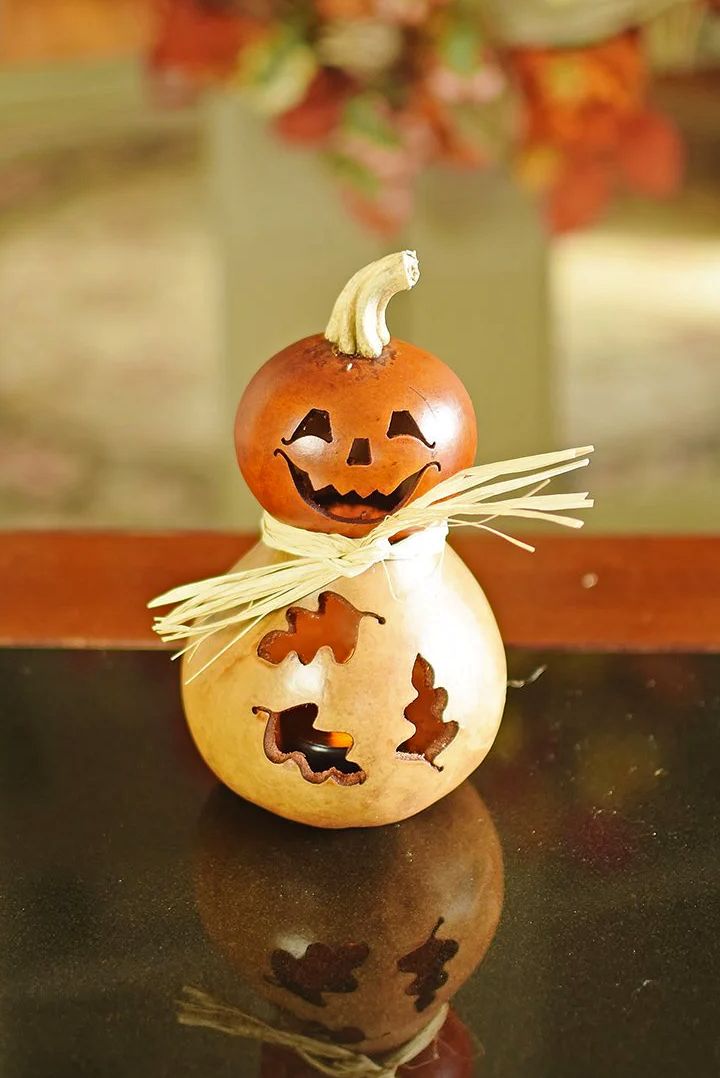 Add Dexter - Mini Jack-O-Lantern Gourd to your collection of Meadowbrooke Gourds an Harvest Array.