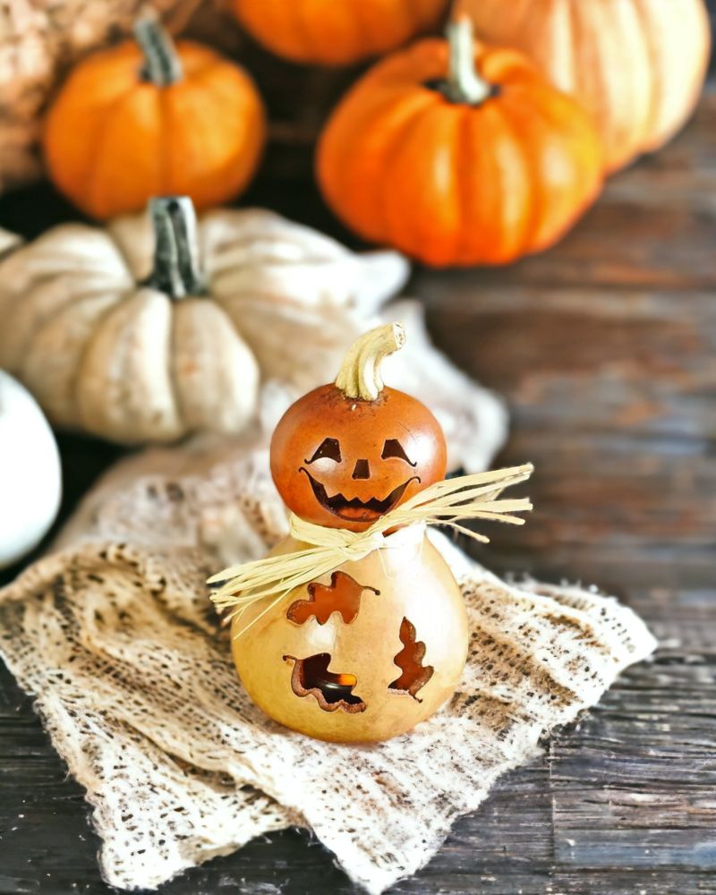 Dexter - Mini Jack-O-Lantern Gourd  makes a cute fall decoration.