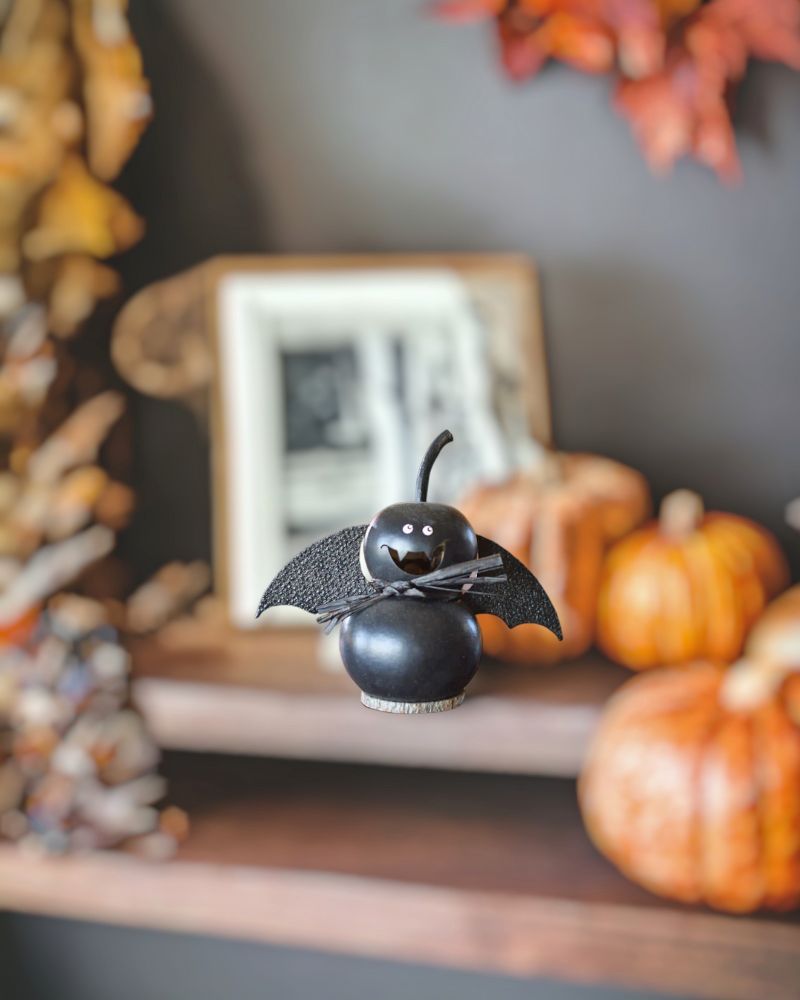 Tiny Echo - Bat Gourd Halloween Decoration available at harvestarray.com