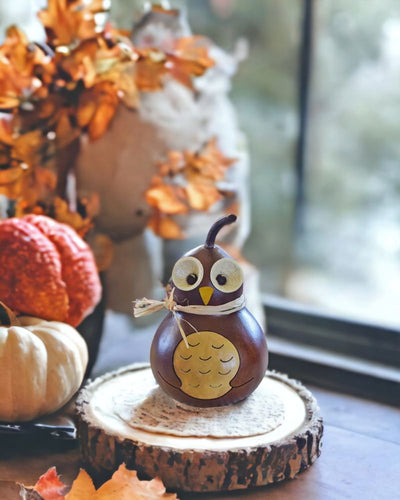 Professor Owl Miniature Gourd Decoration now at Harvest Array. 
