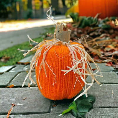 Fall Orange Yarn Pumpkin with Raffia tied around wooden stem on Harvest Array