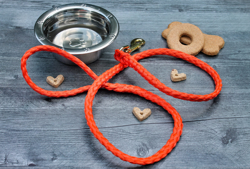 Made in America, Orange Soft Braided Dog Leash for Dogs Up to 50 pounds.