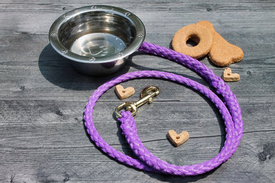 Purple Soft Braided Dog Leash for Dogs Up to 50 pounds.