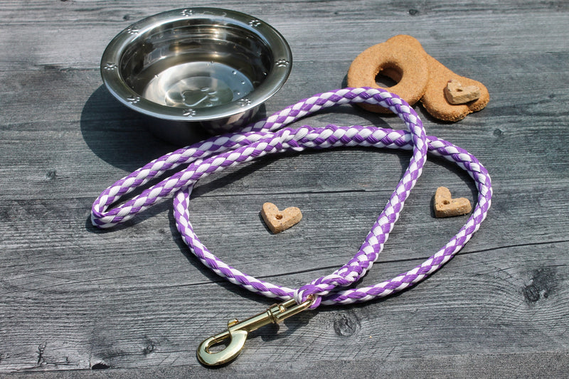 Purple and White Soft Braided Dog Leash for Dogs Up to 50 pounds available at Harvest Array.