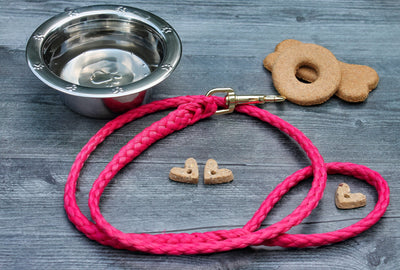 Raspberry Soft Braided Dog Leash for Dogs Up to 50 pounds.