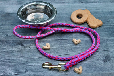 Raspberry and Purple Soft Braided Dog Leash for Dogs Up to 50 pounds for your special fur baby. Made in the USA. 