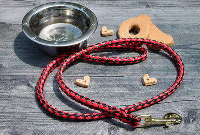 Red and Black Soft Braided Dog Leash for Dogs Up to 50 pounds. Match our dog leashes with your favorite sports team's colors. Available at harvestarray.com.