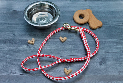 Red and White Soft Braided Dog Leash for Dogs Up to 50 pounds.  Give one as a "New Puppy" gift.