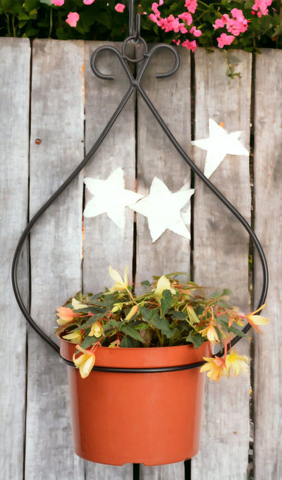 Shop our stylish and practical hanging plant holders.