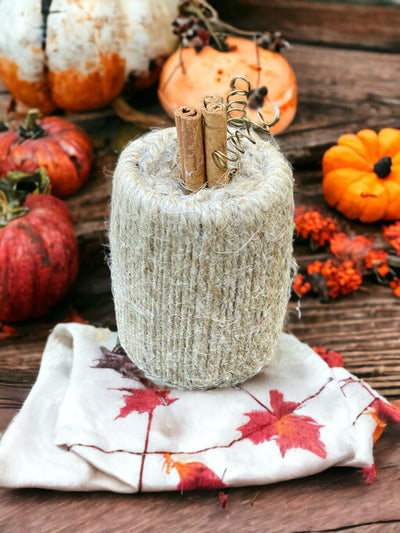 Twine Pumpkin with Cinnamon Stick Stem