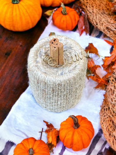 Twine Pumpkin with Cinnamon Stick Stem and wire curl accent