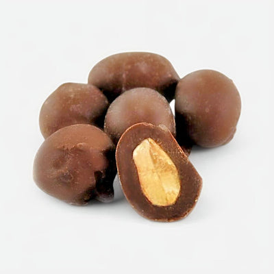 Our American made Chocolate Double Dipped Peanuts come in an 8oz. container at Harvest Array.