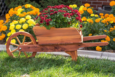 Amish Made Cedar Wheelbarrow Planter Cart