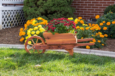 Amish Made Cedar Wheelbarrow Planter Cart with Flowers
