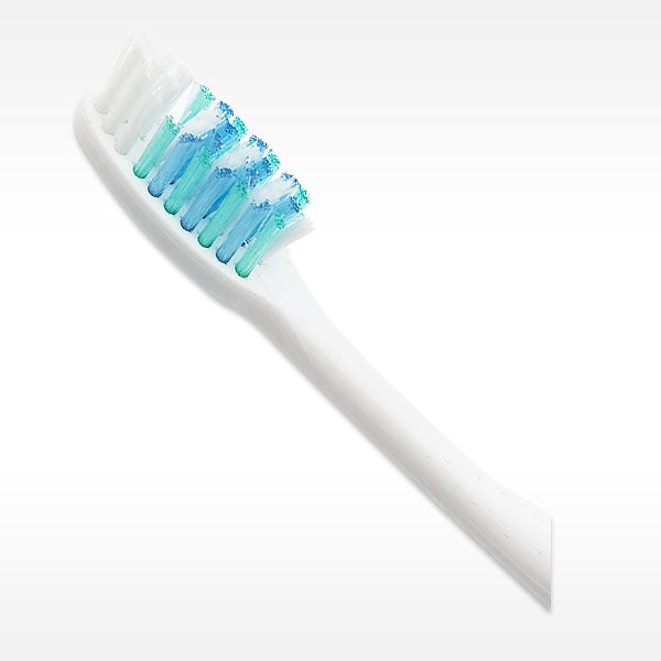 Te brushing head of the G.V. Black Soft Bristle Toothbrush