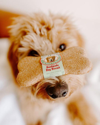 Naturals Animals Handmade Dog Biscuit your dog will beg you for From Harvest Array