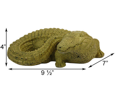 Dimensions of the Baby Gator Statue - Pine Moss
