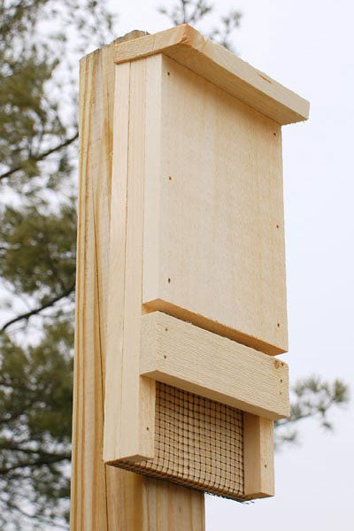 Bat House DIY Kit for 12 Bats