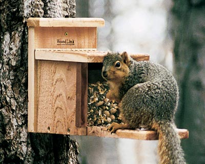 Cedar Wood Squirrel Feeder