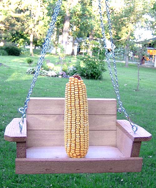 Shop our squirrel corn feeder, perfect for hanging in your yard.