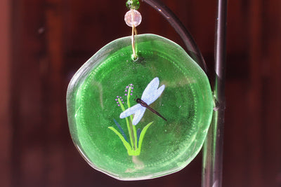 Dragonfly on green glass